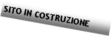 Casella di testo: SITO IN COSTRUZIONE